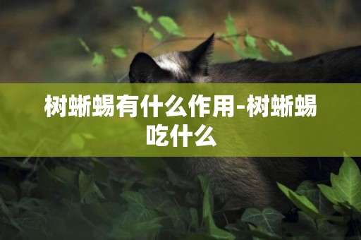 樹蜥蜴有什么作用-樹蜥蜴吃什么