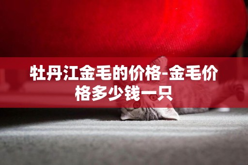 牡丹江金毛的價格-金毛價格多少錢一只