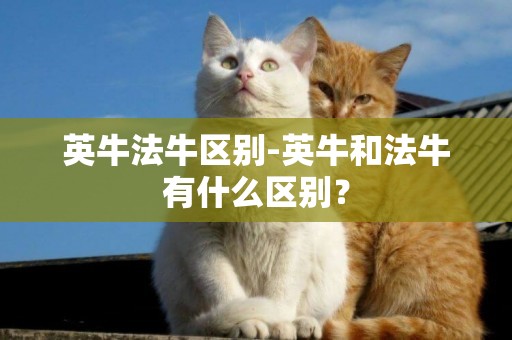 英牛法牛區別-英牛和法牛有什么區別？