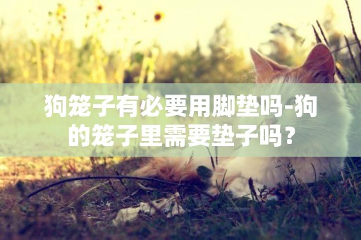 狗籠子有必要用腳墊嗎-狗的籠子里需要墊子嗎？