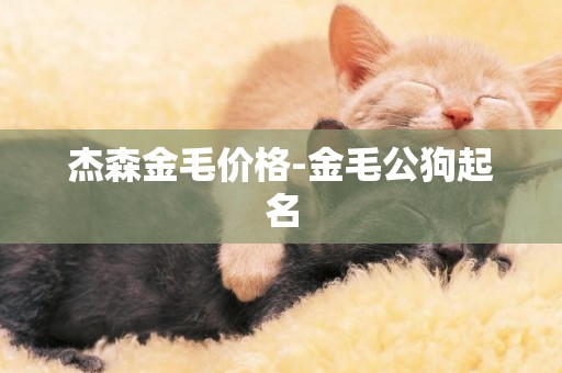 杰森金毛價格-金毛公狗起名