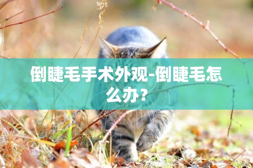 倒睫毛手術外觀-倒睫毛怎么辦？