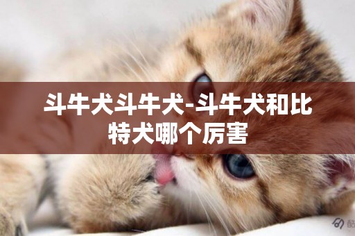 斗牛犬斗牛犬-斗牛犬和比特犬哪個厲害