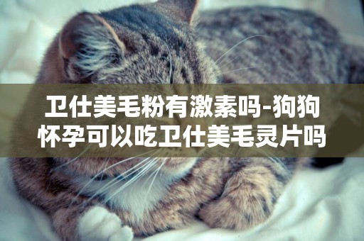 衛仕美毛粉有激素嗎-狗狗懷孕可以吃衛仕美毛靈片嗎