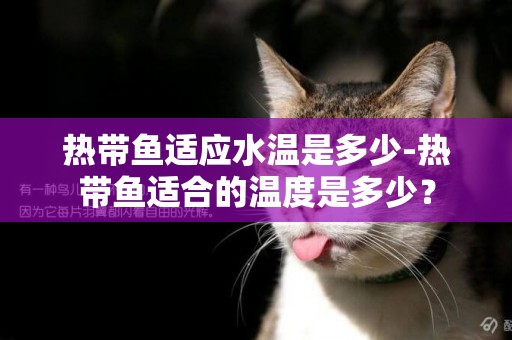 熱帶魚適應水溫是多少-熱帶魚適合的溫度是多少？
