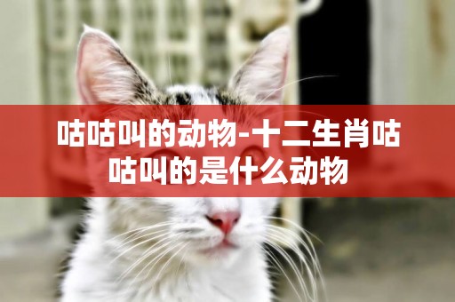 咕咕叫的動物-十二生肖咕咕叫的是什么動物