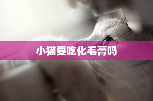小貓要吃化毛膏嗎