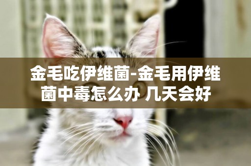 金毛吃伊維菌-金毛用伊維菌中毒怎么辦 幾天會好