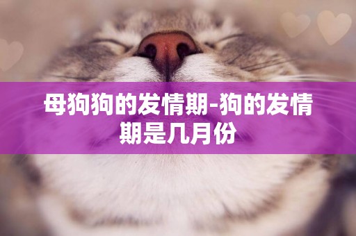 母狗狗的發情期-狗的發情期是幾月份