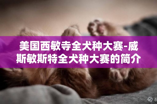 美國西敏寺全犬種大賽-威斯敏斯特全犬種大賽的簡介