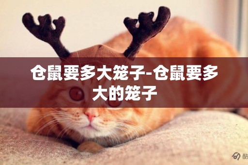 倉鼠要多大籠子-倉鼠要多大的籠子