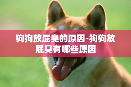 狗狗放屁臭的原因-狗狗放屁臭有哪些原因