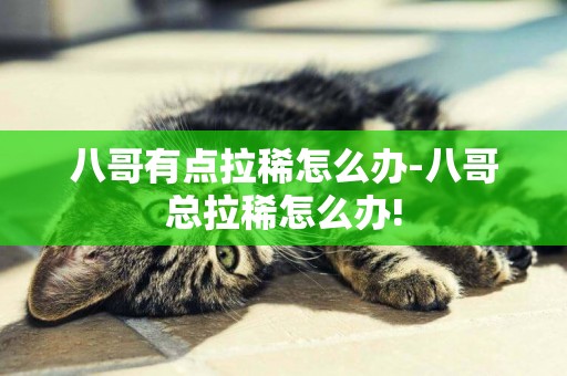 八哥有點拉稀怎么辦-八哥總拉稀怎么辦!