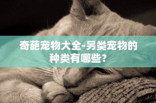 奇葩寵物大全-另類寵物的種類有哪些？