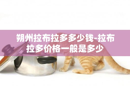 朔州拉布拉多多少錢-拉布拉多價格一般是多少