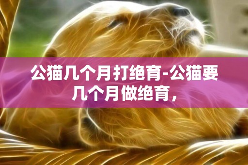 公貓幾個月打絕育-公貓要幾個月做絕育，
