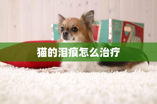 貓的淚痕怎么治療