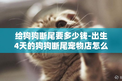 給狗狗斷尾要多少錢-出生4天的狗狗斷尾寵物店怎么收費？