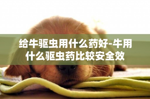 給牛驅蟲用什么藥好-牛用什么驅蟲藥比較安全效