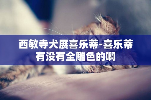西敏寺犬展喜樂蒂-喜樂蒂有沒有全雕色的啊