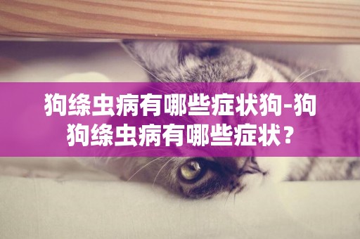 狗絳蟲病有哪些癥狀狗-狗狗絳蟲病有哪些癥狀？