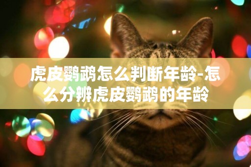 虎皮鸚鵡怎么判斷年齡-怎么分辨虎皮鸚鵡的年齡