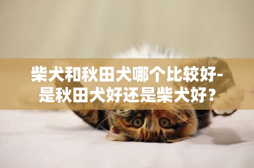 柴犬和秋田犬哪個比較好-是秋田犬好還是柴犬好？