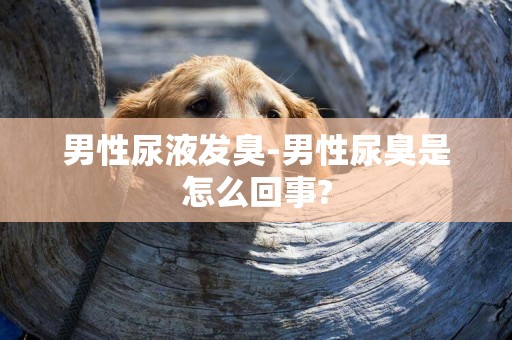 男性尿液發臭-男性尿臭是怎么回事?