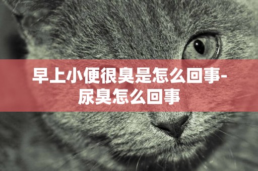 早上小便很臭是怎么回事-尿臭怎么回事
