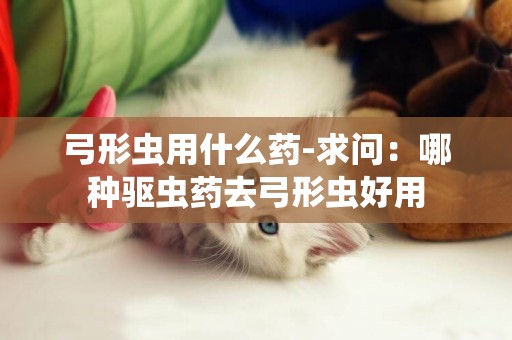 弓形蟲用什么藥-求問：哪種驅蟲藥去弓形蟲好用