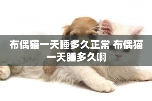 布偶貓一天睡多久正常 布偶貓一天睡多久啊