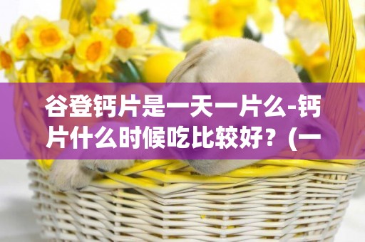 谷登鈣片是一天一片么-鈣片什么時候吃比較好？(一天一片）