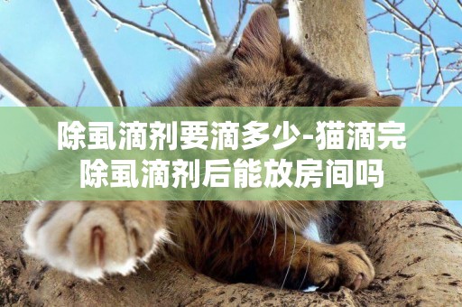 除虱滴劑要滴多少-貓滴完除虱滴劑后能放房間嗎