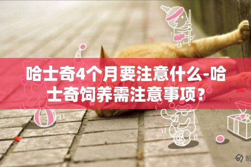 哈士奇4個月要注意什么-哈士奇飼養需注意事項？
