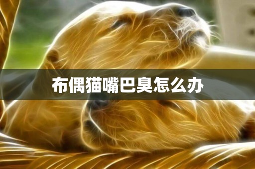 布偶貓嘴巴臭怎么辦