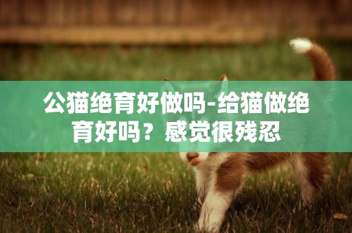 公貓絕育好做嗎-給貓做絕育好嗎？感覺很殘忍