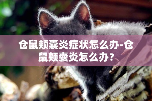 倉鼠頰囊炎癥狀怎么辦-倉鼠頰囊炎怎么辦？