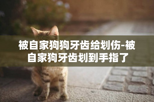 被自家狗狗牙齒給劃傷-被自家狗牙齒劃到手指了