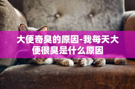 大便奇臭的原因-我每天大便很臭是什么原因