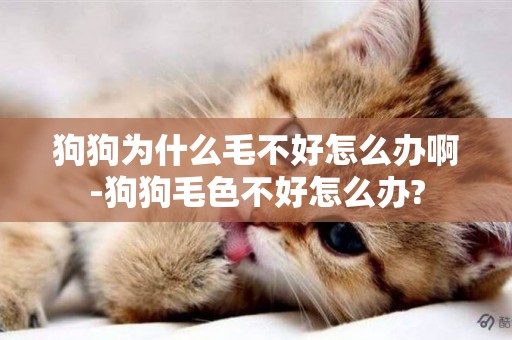 狗狗為什么毛不好怎么辦啊-狗狗毛色不好怎么辦?