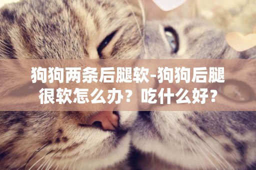 狗狗兩條后腿軟-狗狗后腿很軟怎么辦？吃什么好？