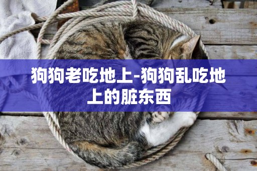 狗狗老吃地上-狗狗亂吃地上的臟東西