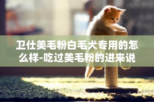 衛仕美毛粉白毛犬專用的怎么樣-吃過美毛粉的進來說說效果怎么樣？