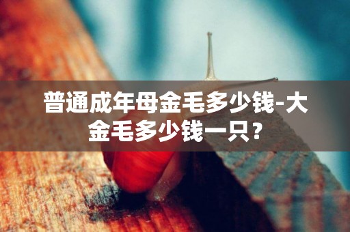 普通成年母金毛多少錢-大金毛多少錢一只？