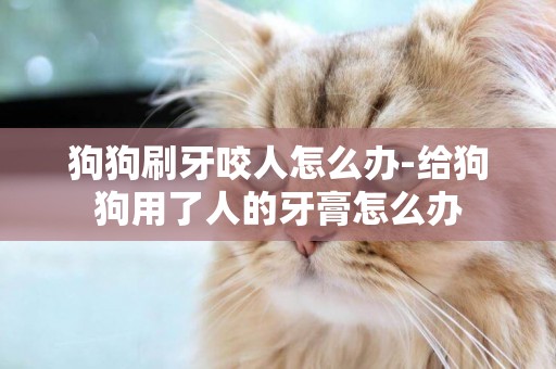 狗狗刷牙咬人怎么辦-給狗狗用了人的牙膏怎么辦