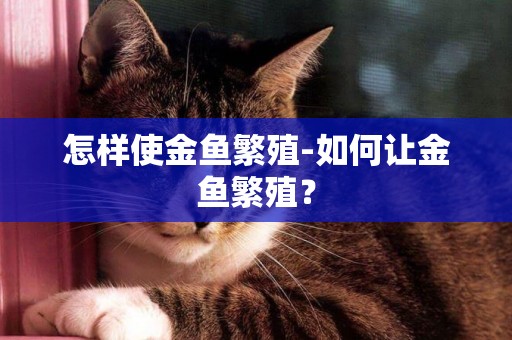 怎樣使金魚繁殖-如何讓金魚繁殖？