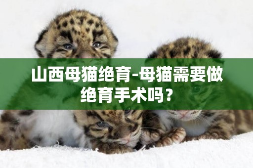 山西母貓絕育-母貓需要做絕育手術嗎？