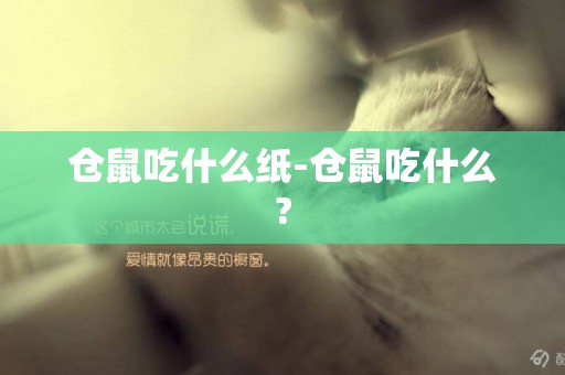 倉鼠吃什么紙-倉鼠吃什么?