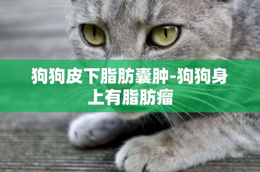 狗狗皮下脂肪囊腫-狗狗身上有脂肪瘤