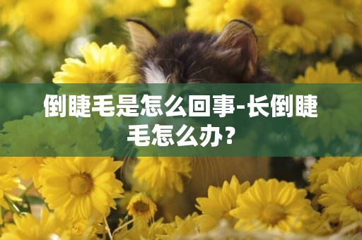倒睫毛是怎么回事-長倒睫毛怎么辦？